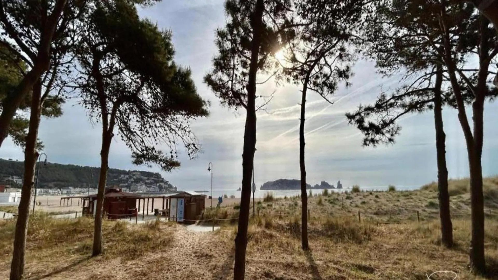 Omega 5 1-D Apartment L'Estartit İspanya